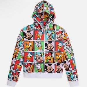 Walt Disney World Mickey & Friends Color Block Hoodie